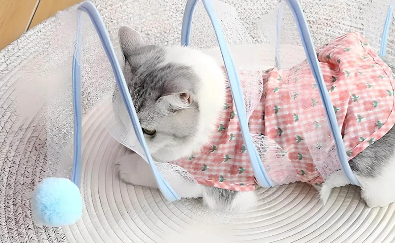 Interactive Cat Tunnel Toy