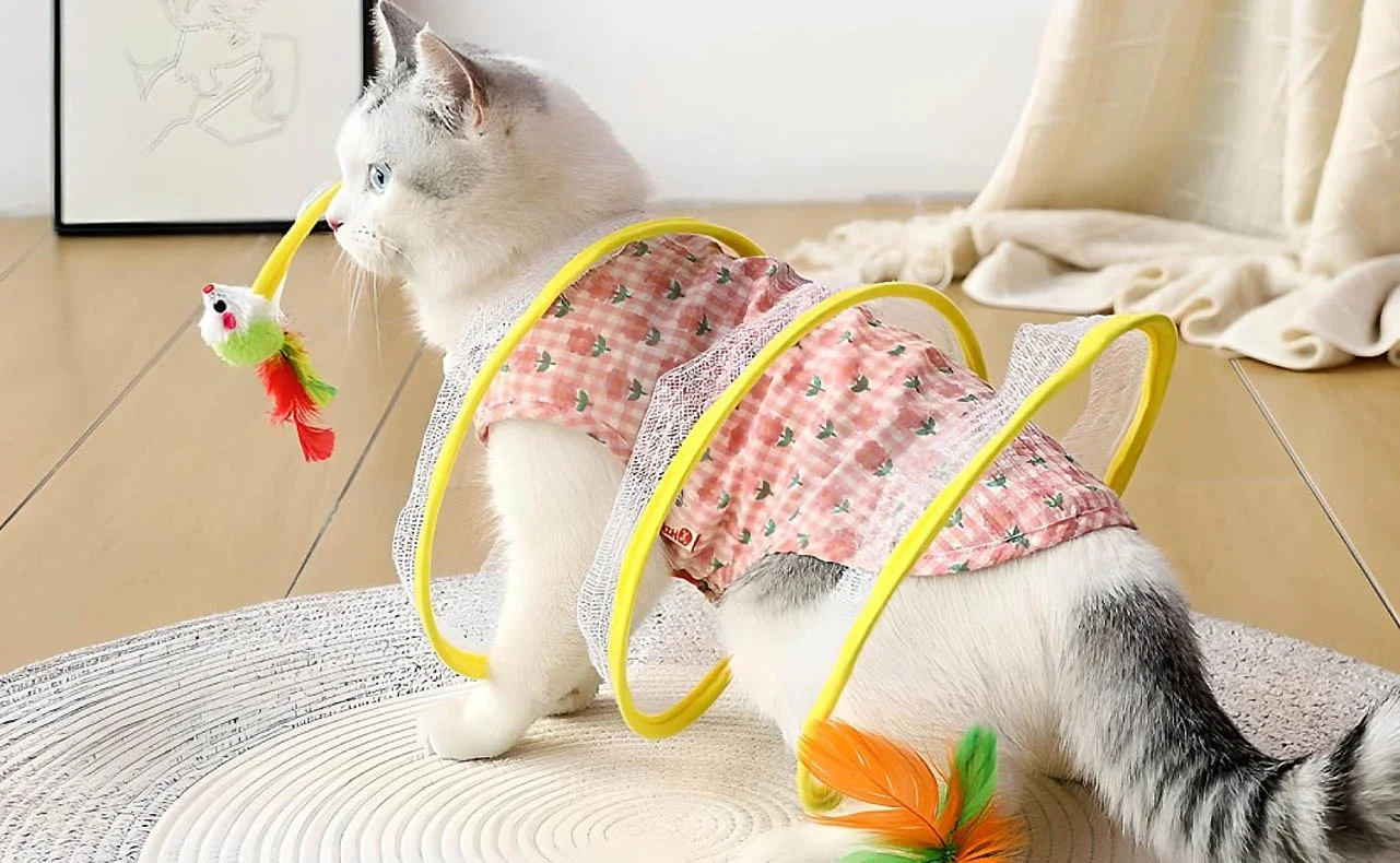 Interactive Cat Tunnel Toy