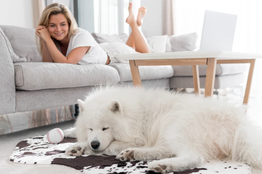 Long Hair Pet Deshedding Glove